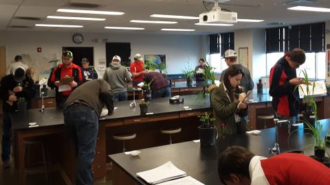 Crops judging includes plant identification and practicum tests. NCTA’s team won the 2-year division on Saturday in Curtis. (Ramsdale / NCTA photo)