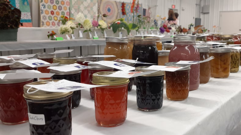 Jars of jellies and jams line the exhibit table last year at the Eustis Fair & Corn Show. The 2022 Frontier County Fair in Stockville now underway ends July 31. The Eustis Fair & Corn Show is Aug. 3-6. (Andela Taylor / NCTA photo)