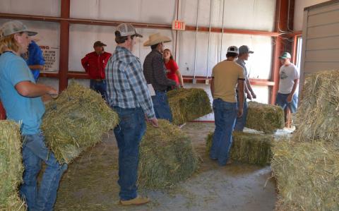 In September, community residents and NCTA friends loaded Hurricane relief for Texas which included bales of hay collected at the NCTA Livestock Teaching Center. (Catherine Hauptman/NCTA photo)