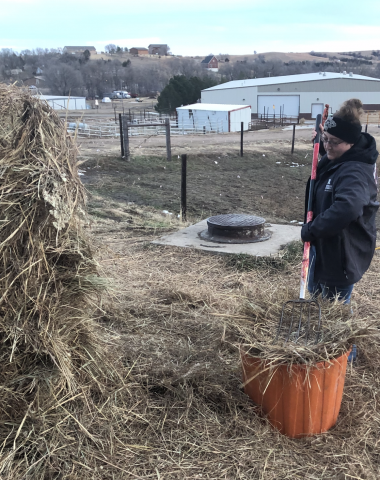 Alex Penna is an equine management major from New York. She feeds hay to horses at the NCTA campus before snow and winds begin. (Student photo by A.Crouse/NCTA News)
