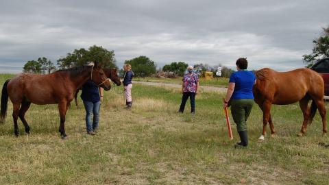 NCTA Vet Tech students have an outdoor lab session on Feeding the Equine Patient. NCTA uses physical distancing and face masks for indoor classes. (C. Barnhart / NCTA Photo)