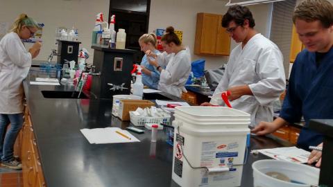 Veterinary technology students in a clinical pathology class work in the NCTA laboratory. (NCTA News photo)