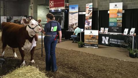 The Nebraska College of Technical Agriculture recruiting outreach in July includes the National Junior Hereford Spectacular at Kansas City, Missouri.  (Photo by Andela Taylor / NCTA) 