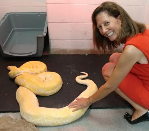 Dr. Wendy Hind, vice president of university affairs at the University of Nebraska, learns from Monty, the python, that NCTA is a hands-on learning institution. (NCTA News photo)