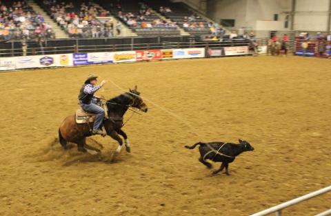 NCTA cowboy Quentin Anderson of Pierce won the long go in calf roping at the South Dakota State University Jack Rabbit Stampede in Brookings, S.D. (Photo by Alex Penna)