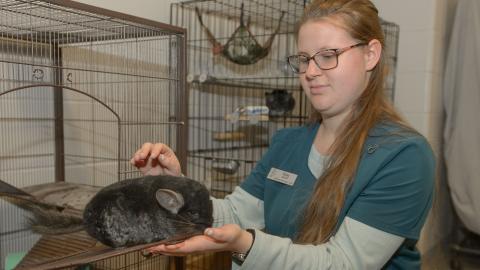 Riley, NCTA vet tech student, with a small pet that will be at Critter Camp on June 24. (George Hipple photo for NCTA) 