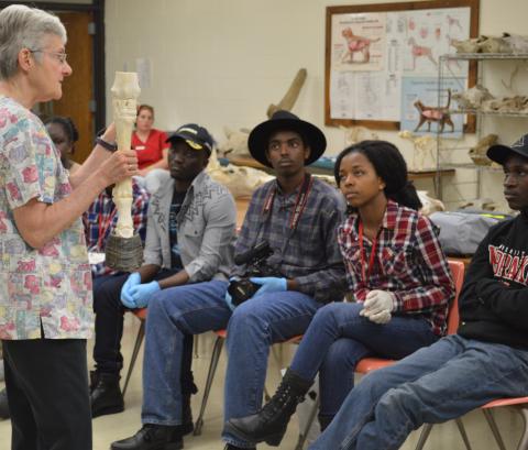 RIcky Sue Barnes Wach, DVM, explains anatomy and animal skeletal structure during an animal health course at NCTA in 2018. (T. Smith / NCTA photo)